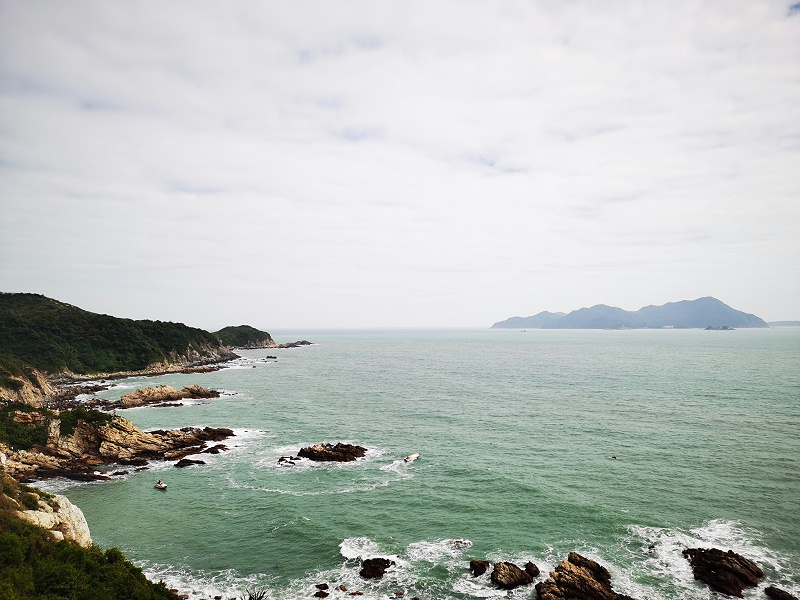 集装箱运输